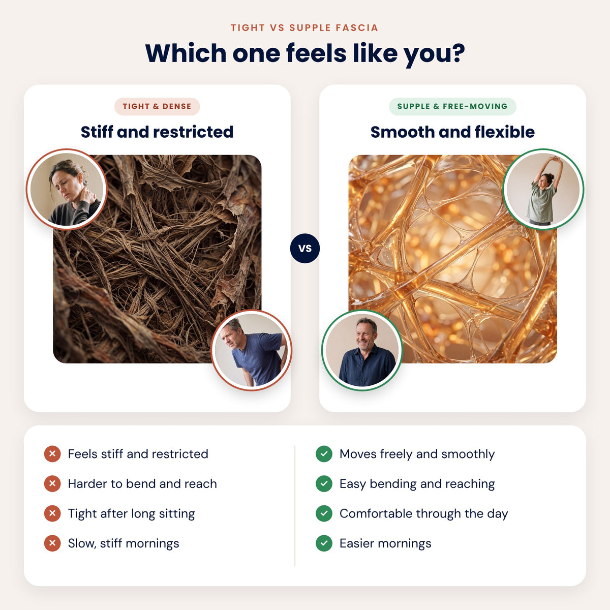 Tight and dense fascia versus supple, free-moving fascia: which one feels like you?